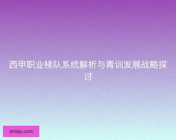 西甲职业梯队系统解析与青训发展战略探讨